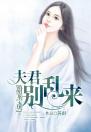 甜宠宝贝：夫君别乱来