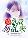 婚婚欲睡：总裁勿乱来