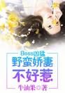 boss凶猛：野蛮娇妻不好惹