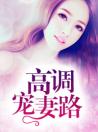 豪门闪婚：高冷帝少轻点宠