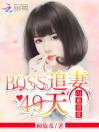 闪婚甜爱：BOSS追妻49天