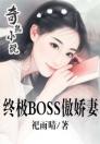 终极BOSS傲娇妻