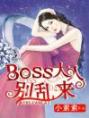 《BOSS大人别乱来》