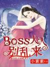 BOSS大人别乱来