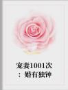 宠妻1001次：婚有独钟