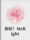 你好！MrRight