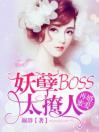 再婚蜜爱：BOSS请投降