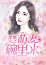 婚婚来迟：萌妻碗里来