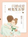 闪婚成爱叶先生万岁