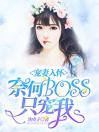 宠妻入怀奈何boss只宠我