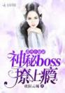 惹火小甜妻：神秘boss，撩上瘾