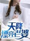 天降漂亮老婆