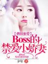 Boss的禁爱小娇妻