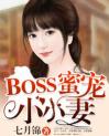 BOSS蜜宠小小妻