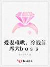 爱妻难哄，冷战首席大boss