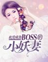 此爱成劫：BOSS的小妖妻