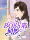 暖妻有毒，BOSS来伺候